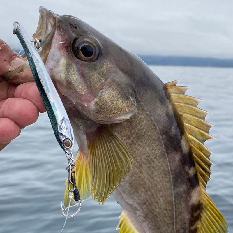 Gerçek form jig gerçek balık süllieti, 20 gram ağırlığında benzersiz aksiyon