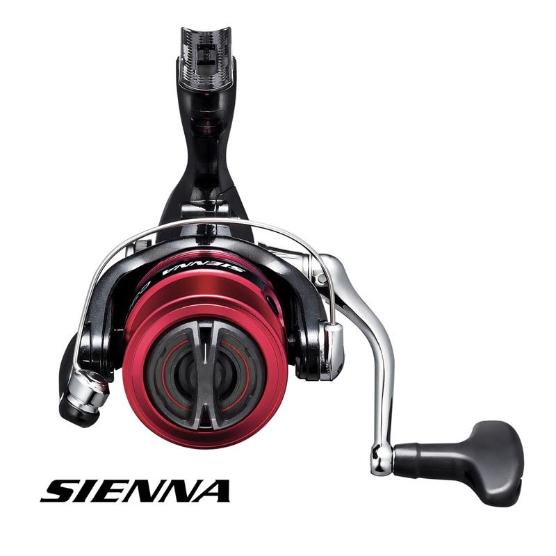 Shimano Sienna C3000FG Olta Makinesi, 30 luk küçük makara, 3+1 bilyalı, 250gram ağırlığında, Spin avlarına uygun olta makinesi