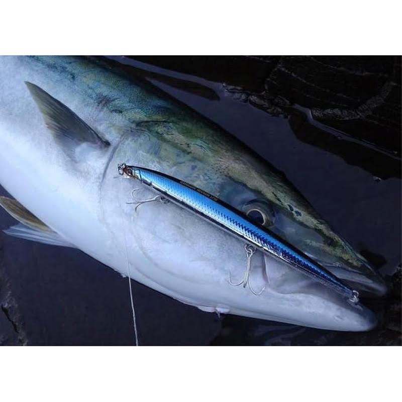 Duel Hardcore Minnow 150F,15cm Uzunluğunda,20gr Ağırlığı,Floating(yüzen) Suni Balık